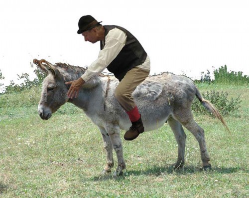 Don Quichotte à Barcelone