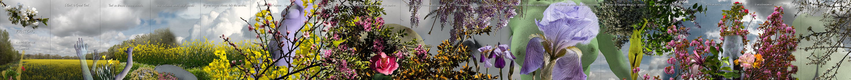 PRINTEMPS aplati.jpg