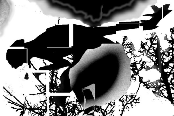 LA NAISSANCE D'EVE - 13