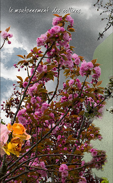 PRINTEMPS PAGE-16.jpg