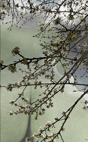 PRINTEMPS PAGE-17.jpg