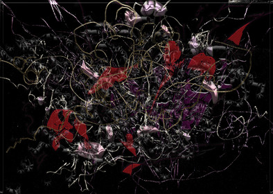 57- CL.d - JE.t - SEXE