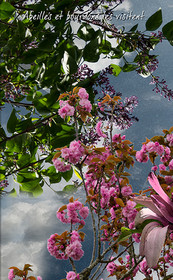 PRINTEMPS PAGE-14.jpg