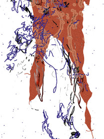 03 - EU - CL- REPLIQUE_AGILE   03-2016    BAS