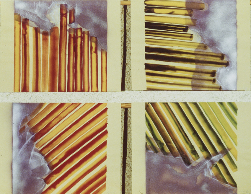 série des GÉOGRAPHIES IMAGINAIRES - encre, pinceau chinois, bombes de peinture - 4 fois 50 x 65 - 6  81