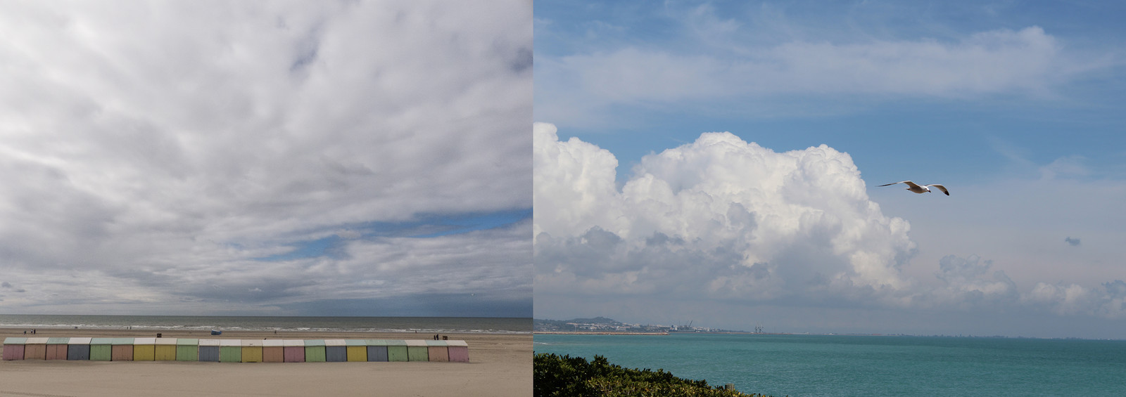 H.A.R.I Livre à quatre