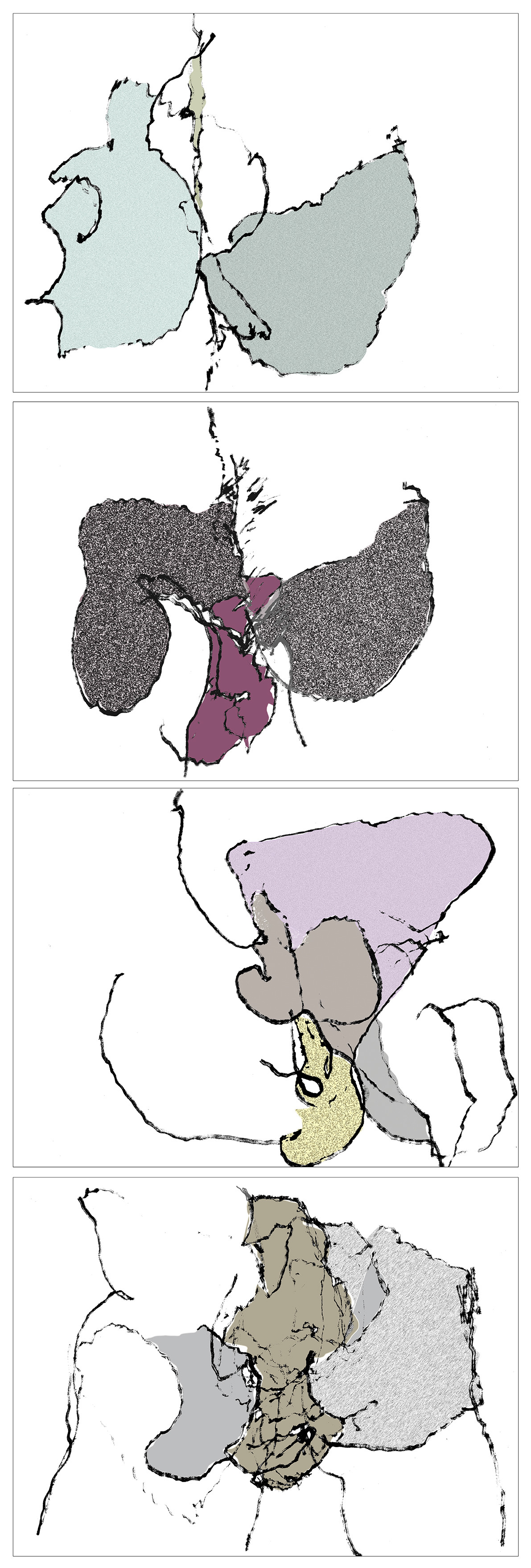 REUNION DE L'ensemble- OD  CL - SEXE DOS