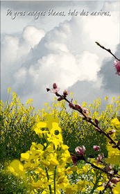 PRINTEMPS PAGE-05.jpg