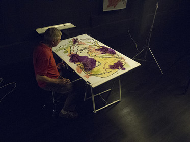 THEATRE LE VENT DES SIGNES   TOULOUSE