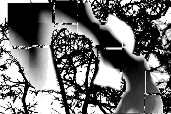 LA NAISSANCE D'EVE - 14