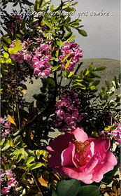 PRINTEMPS PAGE-08.jpg