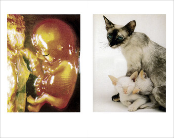 MOUSTACHES DIVINES 11-12.jpg