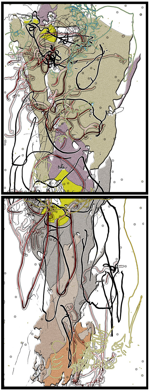 05 - CAR  CL - REPLIQUE AGILE