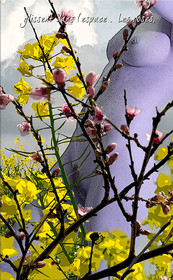 PRINTEMPS PAGE-06.jpg