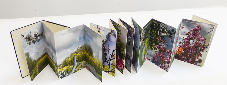 PRINTEMPS deplie.jpg