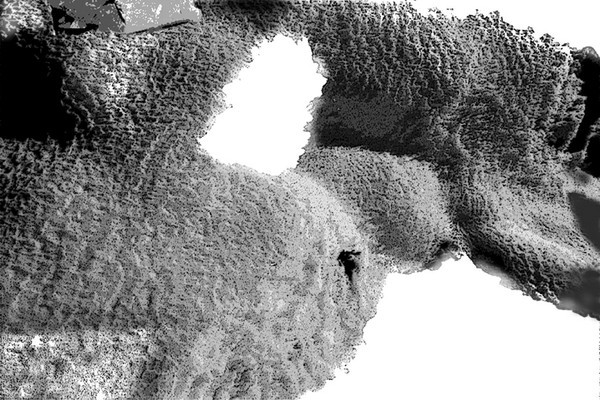 LA NAISSANCE D'EVE - 34