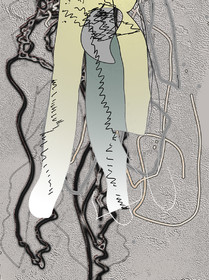 JU  CL - FACE   04-2015    BAS